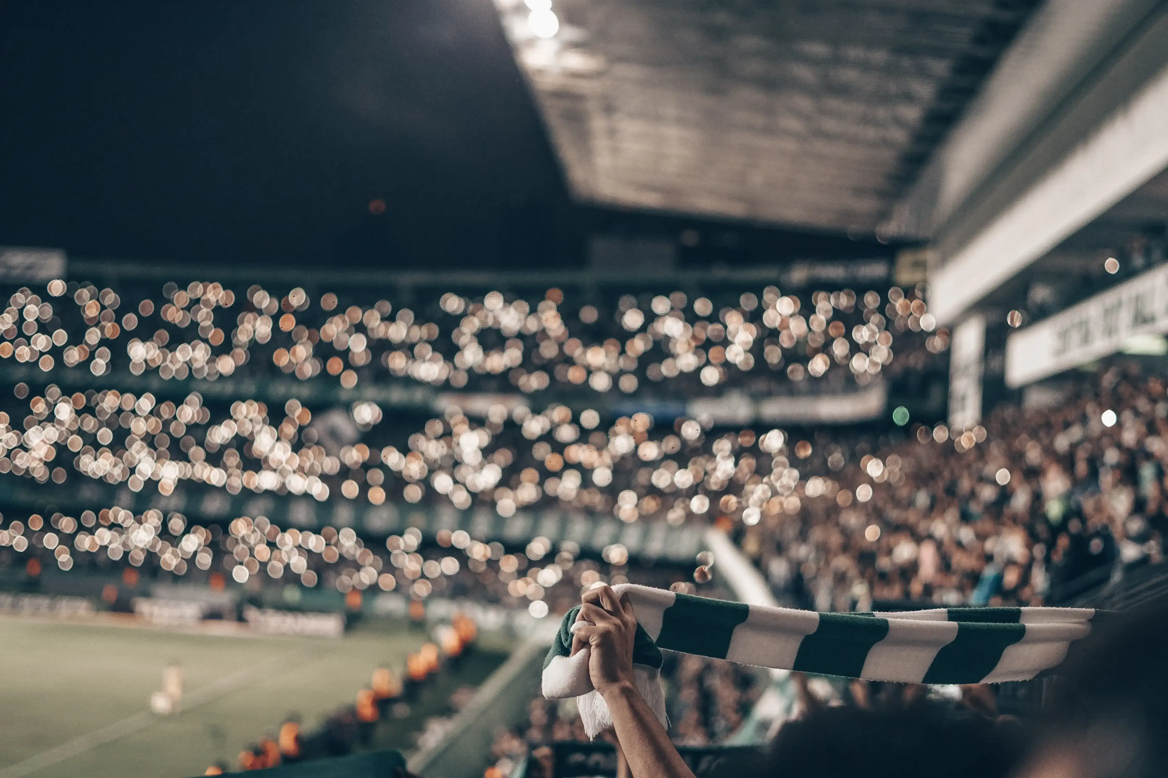 stadium fans cheering night