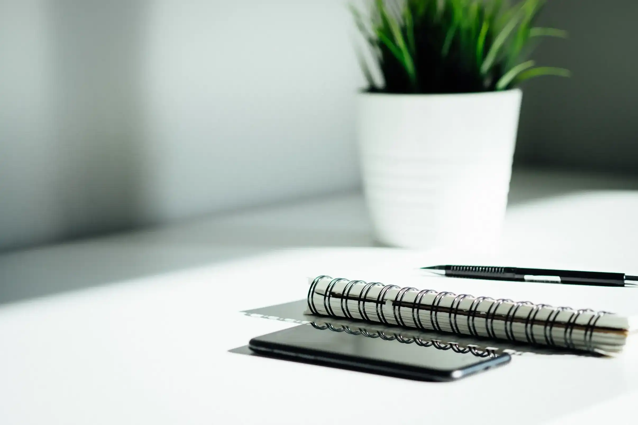 Plant and notebook on a desk surface