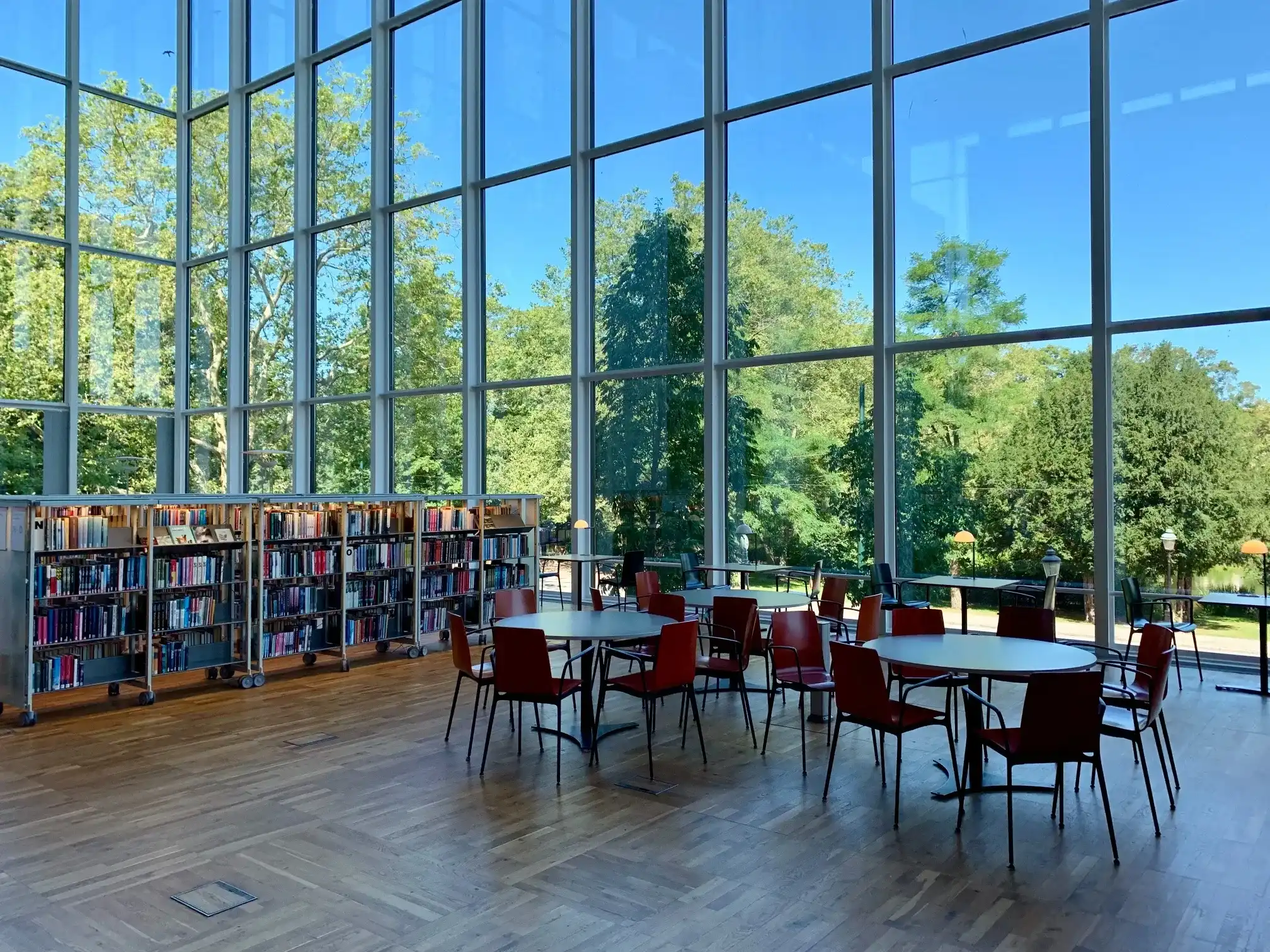 College library interior